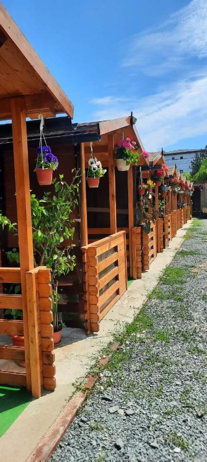 Casa Gabriela Homestay