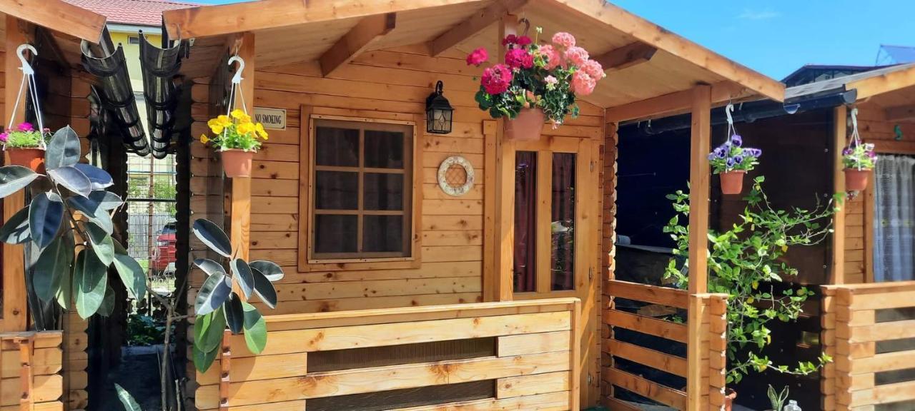 Casa Gabriela * Vama Veche