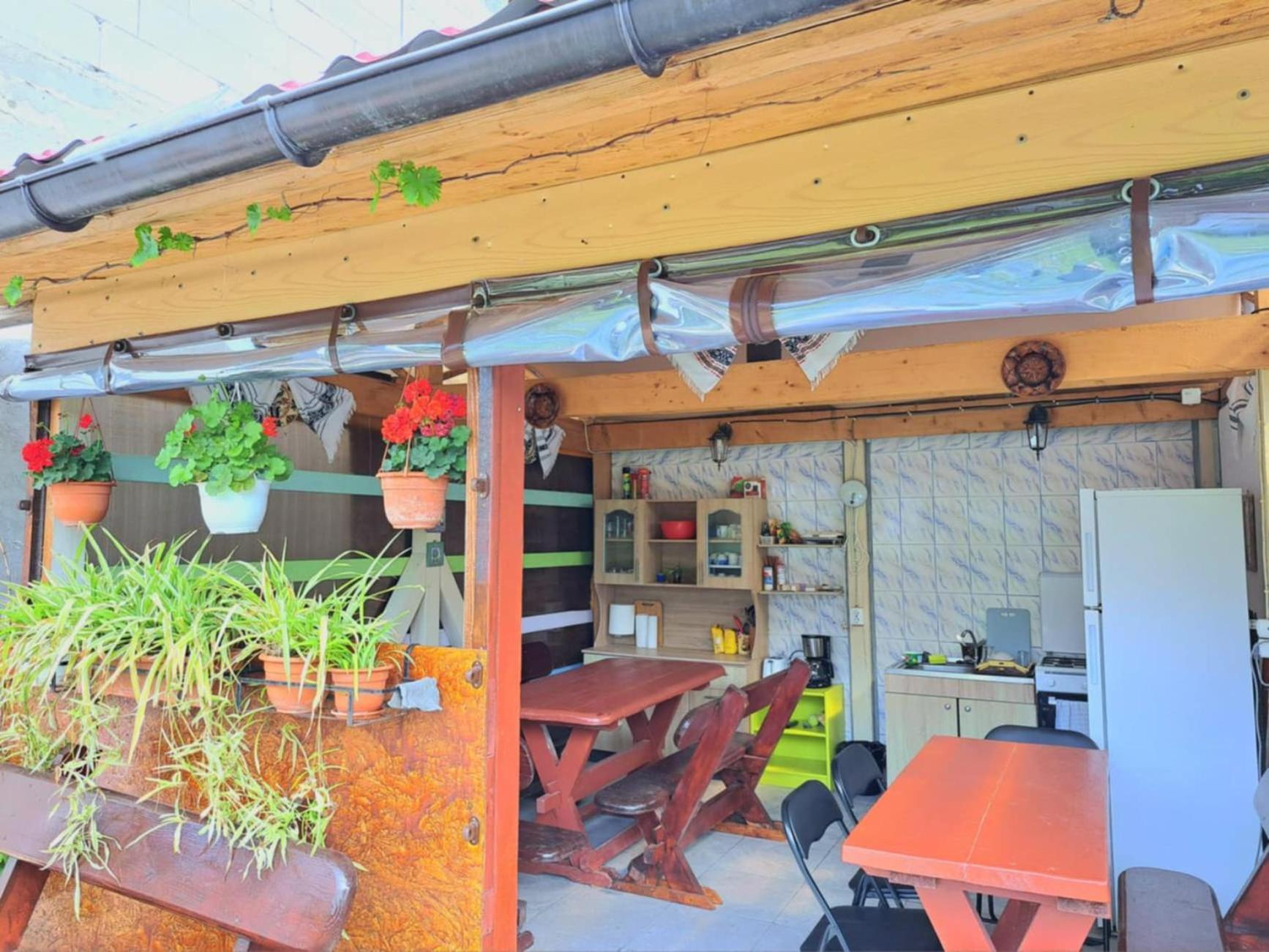 Casa Gabriela Vama Veche