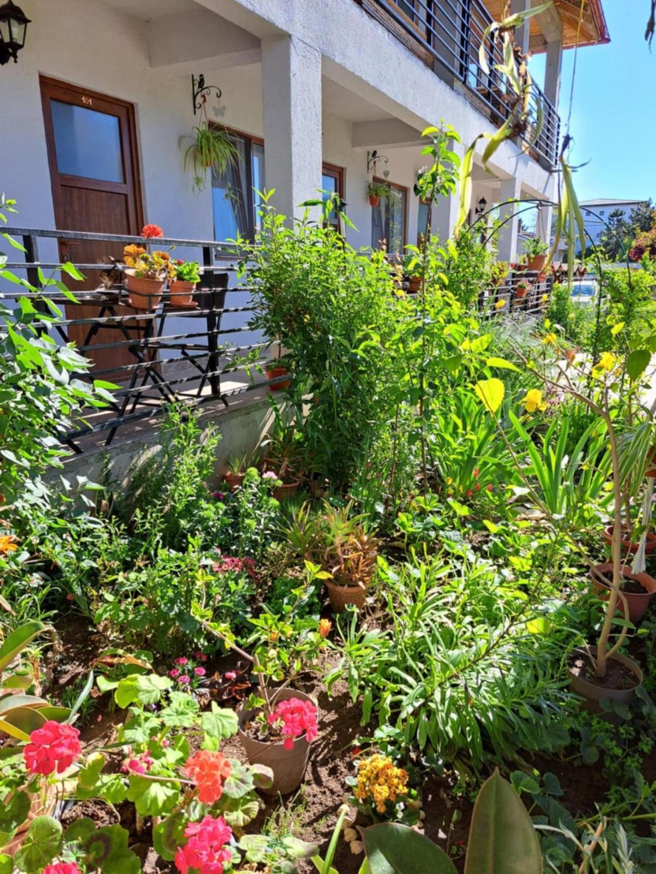 Casa Gabriela Homestay *