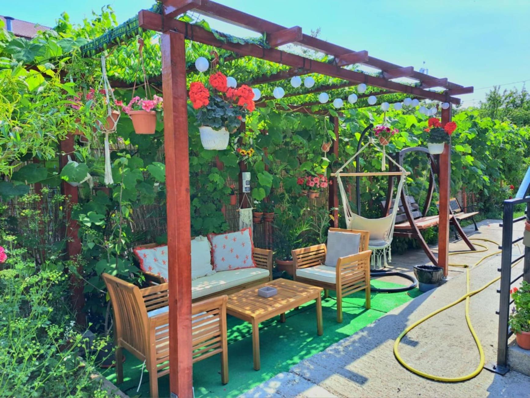 Homestay Casa Gabriela Vama Veche